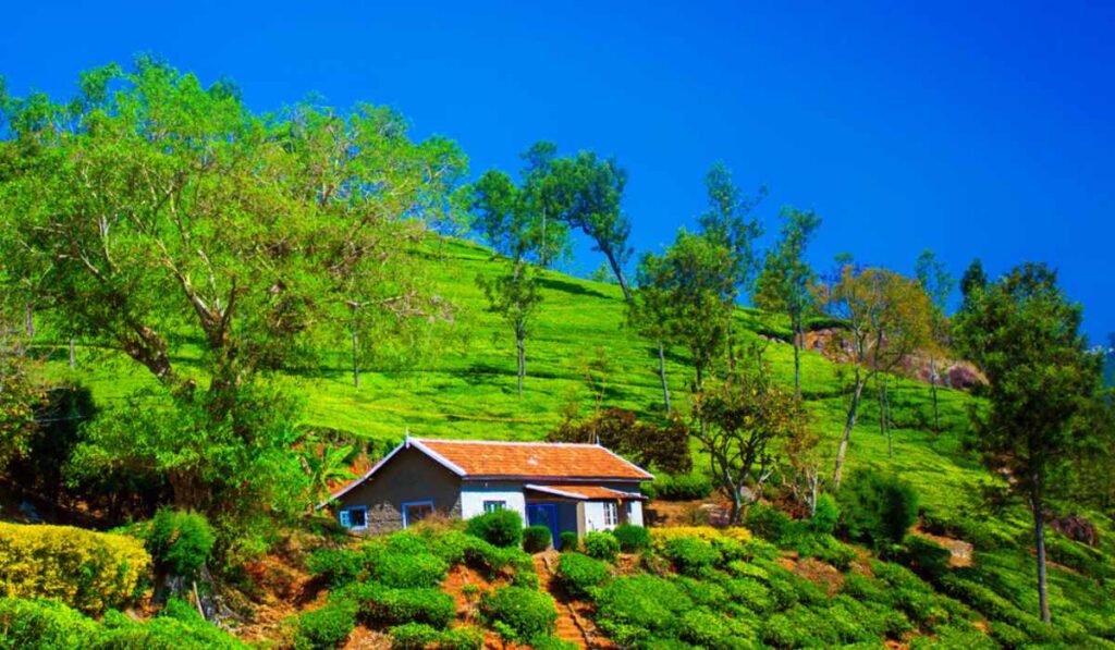 Coonoor Sightseeing: Uncover the Beauty of These Must-See Places