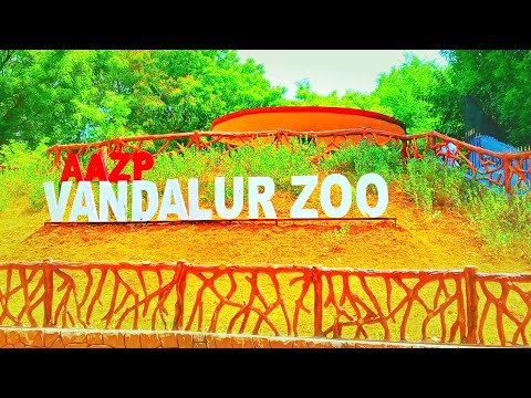 Vandalur Zoo: A Wildlife Wonderland  