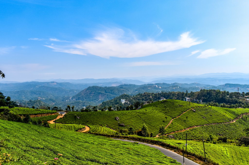 Planning a Trip? Find Out the best time to visit Munnar!